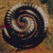 Track 04 Heresy Blind Halo Nine