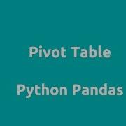 Python Pandas Pivot Table