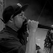 MOUNT WESTMORE Snoop Dogg Ice Cube E 40 Too Hort Activated Official Music Video