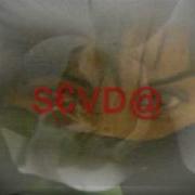 SEVDA