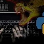 Exploit Development Writing A Remote Buffer Overflow Exploit For Windows 11 RCE