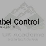 Label Control In Visual Studio C