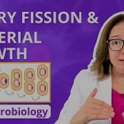 Binary Fission Bacterial Growth Microbio Pre Nursing Pre Med Health Field Careers LevelUpRN