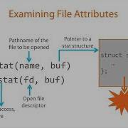 03 02 The Stat System Call And Stat Structure