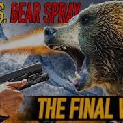 Best Bear Defense Guns Vs Bear Spray The Final Word Wildspaces Guns Bears Grizzly Survival