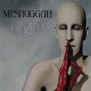 Meshuggah Electric Red Guitar Backing Track With Vocals