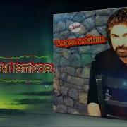 Yaşar Yağmur Canım Seni İstiyor Official Audio
