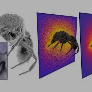 Monte Carlo Geometry Processing