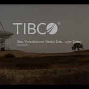 TIBCO Data Virtualization Virtual Data Layer Demonstration
