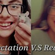 Expectation Vs Reality Ft Rats