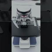 Ice Cube Under The Microscope Microscope Sciecne Biology