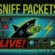 Sniffing Network Packets LIVE With Wireshark