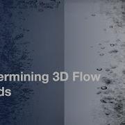 Determining 3D Flow Fields Via Multi Camera Light Field Imaging L Protocol Preview