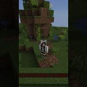 Shorts Tutorial Getting Group Manager On The Server