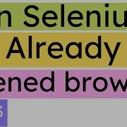 Run Selenium On An Already Opened Browser How To Use Test Cases On An Already Opened Browser SN