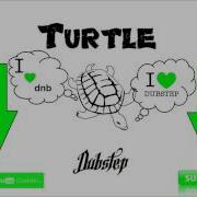 TurtleDubstep Present Stim Axel Zen