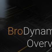 BroDynamcis Tutorial Overview