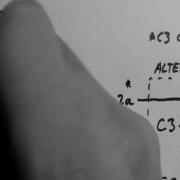 Complement 3 Classical And MBL Pathways
