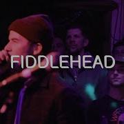 Fiddlehead Live In Montreal Full Set