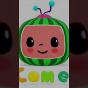 CocoMelon Meme