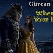 Gurcan Erdem Where Is Your Heart