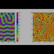 Long Range Interaction Model
