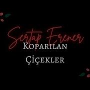 Sertap Erener Koparılan Çiçekler Sözleri