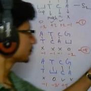 Bioinformatics Part 3 Sequence Alignment Introduction