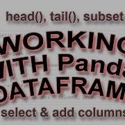 Working With Pandas Head Tail Slice Subset Add Remove Columns