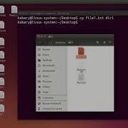 Linux Command Line Basics Wildcards 1