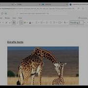 Accessibility Tools For Students In Microsoft Edge 2025