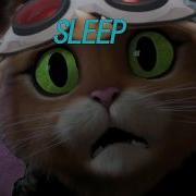 Jetpack Cat Brainrot EXE
