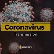 Coronavirus Transmission COVID 19 Wash Hands Stay Home Sqadia Com
