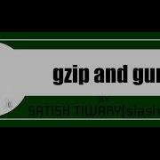 Gzip And Gunzip Command In Linux