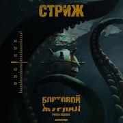 SLIMUS Бразилец Стриж Murovei Зебра альбом Бортовой журнал