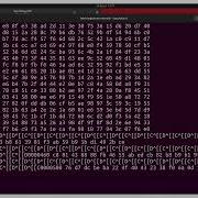 Dispositivos De Números Aleatórios No Linux Dev Random E Dev Urandom