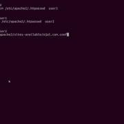 How To Setup Basic Apache Authentication Using VirtualHost