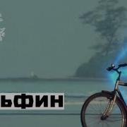 Dolphin Дельфин Sunset