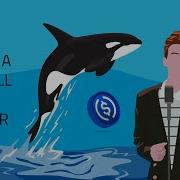 Code A Crypto Whale Tracker Rickroller With Javascript Ethers Js