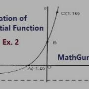 Equation Of An Exponential Function Grade 10 Example 2