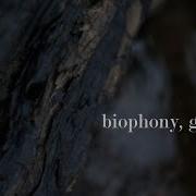 Biophony Geophony