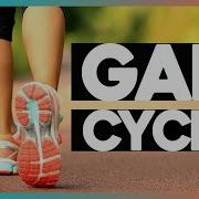 Biomechanics Of Walking Gait Cycle And Abnormal Gait Ft Maren Hunsberger Corporis