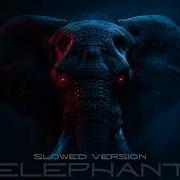 Christopher Ladex ELEPHANT Slowed Version TikTok