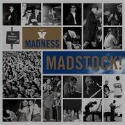 Embarrassment Madstock 1992