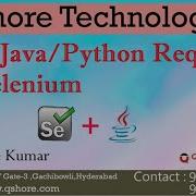 Why Java Or Python Required To Learn Selenium