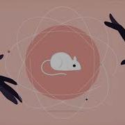 The Power Of Expectations Invisibilia NPR