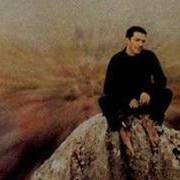 Yavuz Bingöl Suzan Suzi