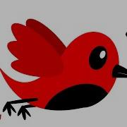 Baby Sensory Relaxing Flying Bird To Calm Newborn Black White Red