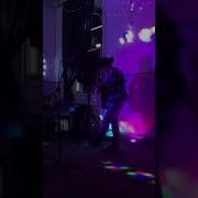 Let Me Be Your Fantasy Acoustic Cover By Calli Malpas