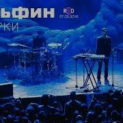 Дельфин Dolphin Сумерки Акустика Live
